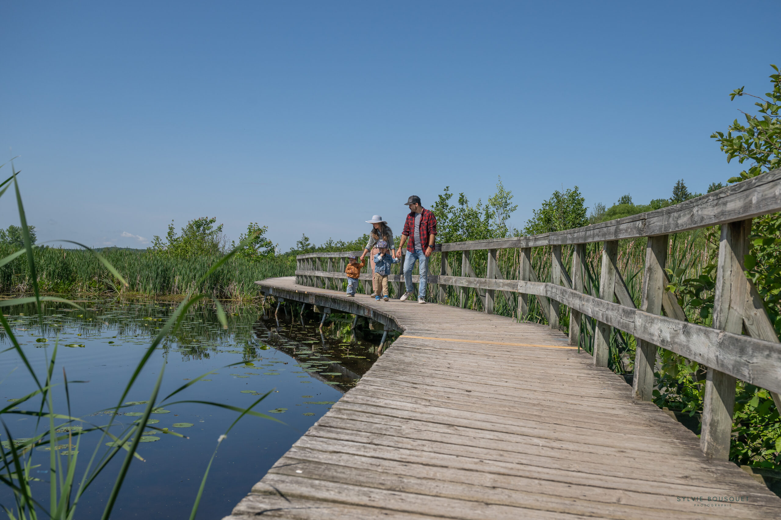CINLB - Sylvie Bousquet