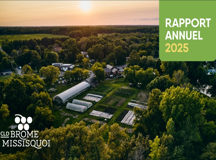 Capture d’écran 2026-CLD Rapport annuel