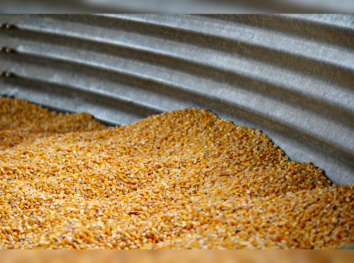 NEWS Silo à grains (Canva)