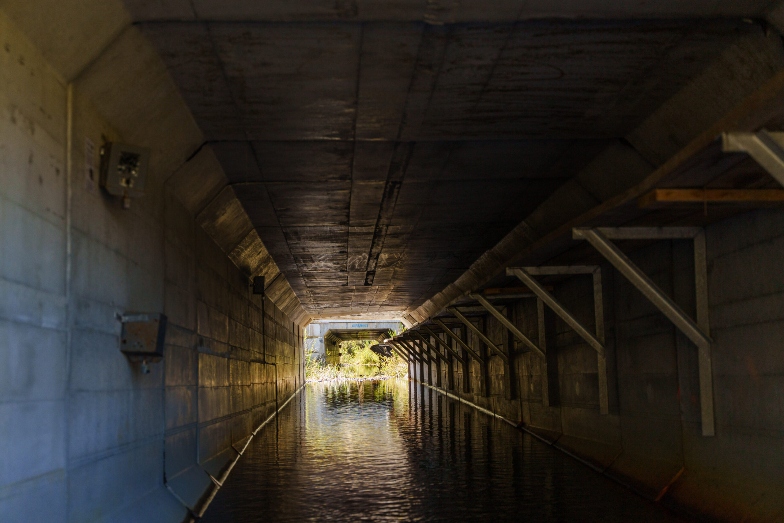 NEWS, passage faunique (Corridor Appalachien)