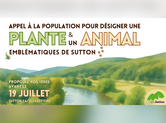 NEWS, recherche emblèmes (Ville de Sutton)