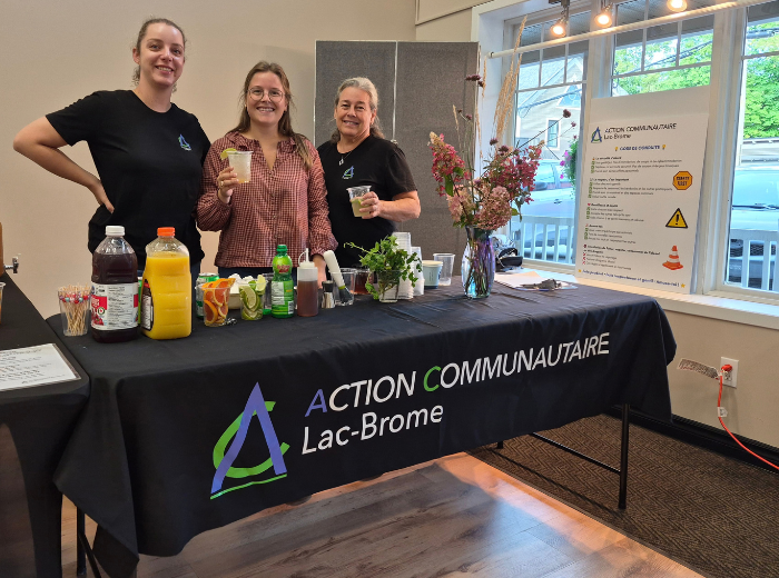 HUB_Action communautaire Lac-Brome