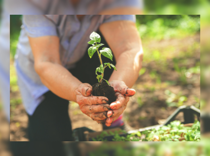 NEWS, champ agriculture ferme (Canva)