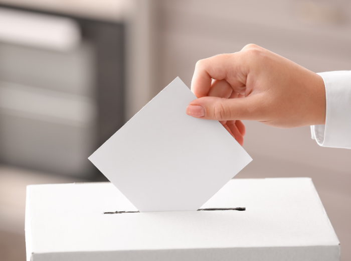 Vote_Canva