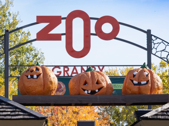 Zoo de Granby Halloween