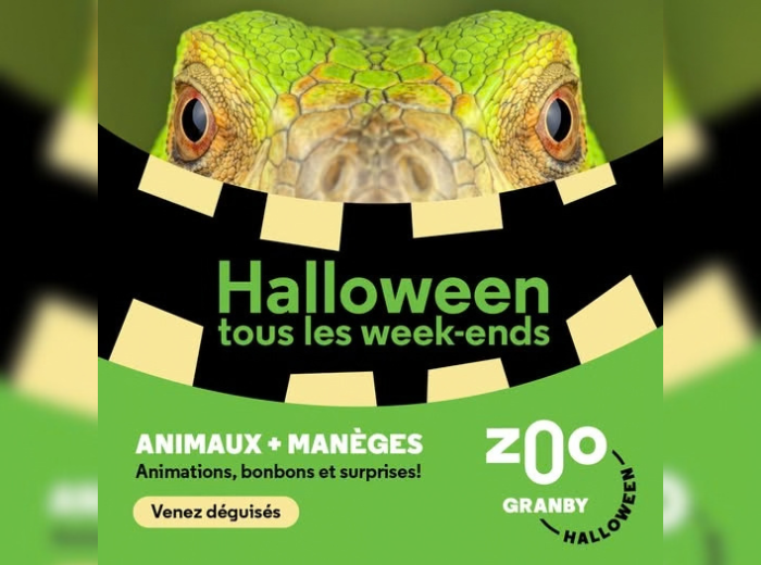 NEWS Zoo de Granby Halloween ( Facebook du Zoo de Granby)