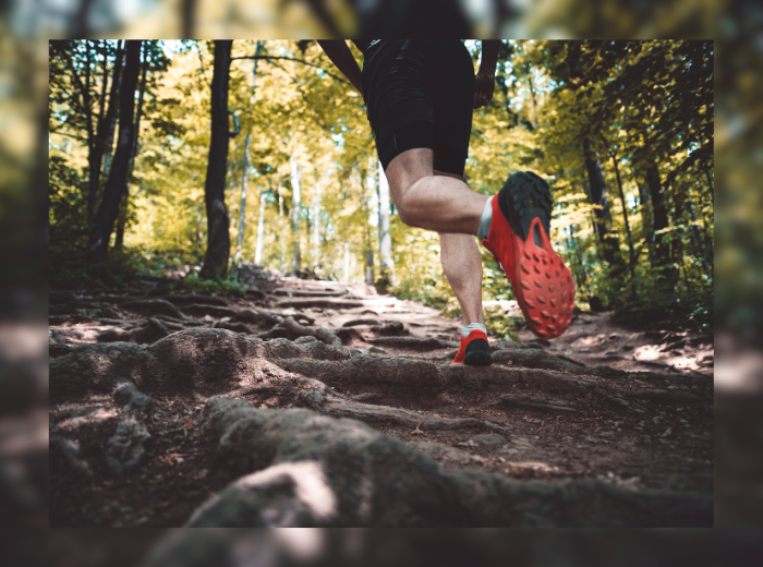 NEWS, course sentier (Canva)